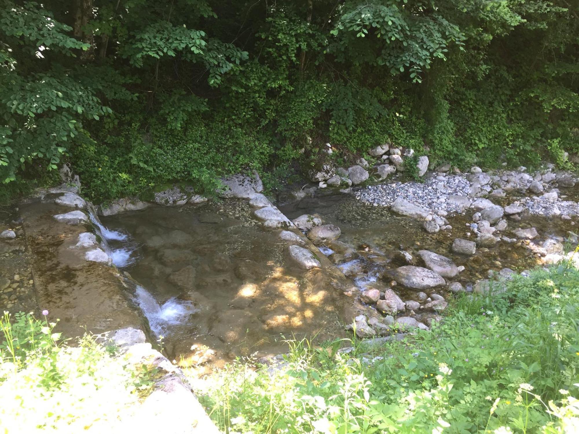 Bohinj Barn Διαμέρισμα Εξωτερικό φωτογραφία