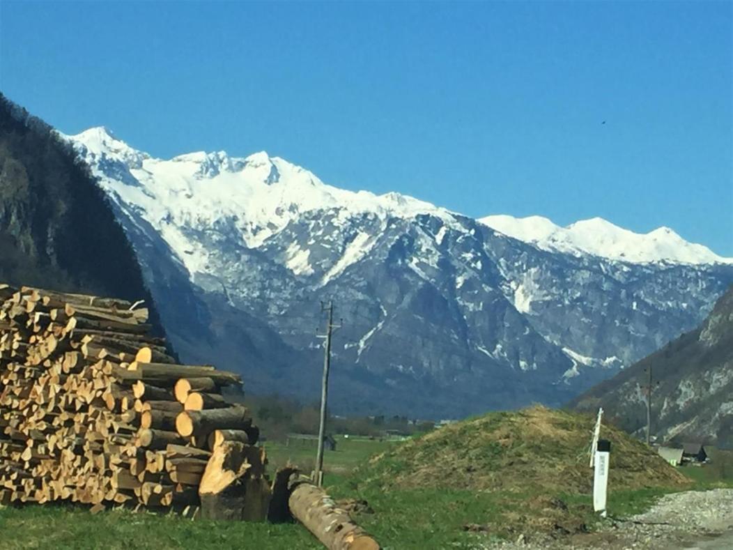 Bohinj Barn Διαμέρισμα Εξωτερικό φωτογραφία